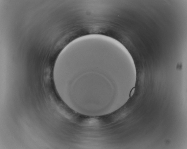 X0000113080219200910091240