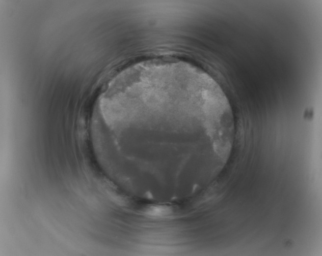 X0000113080220200910091240