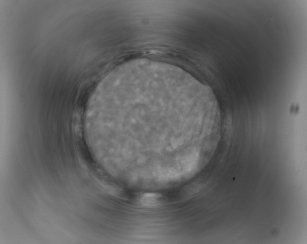 X0000113080222200910091240
