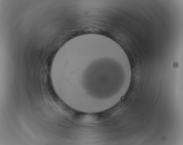 X0000113080223200910091240