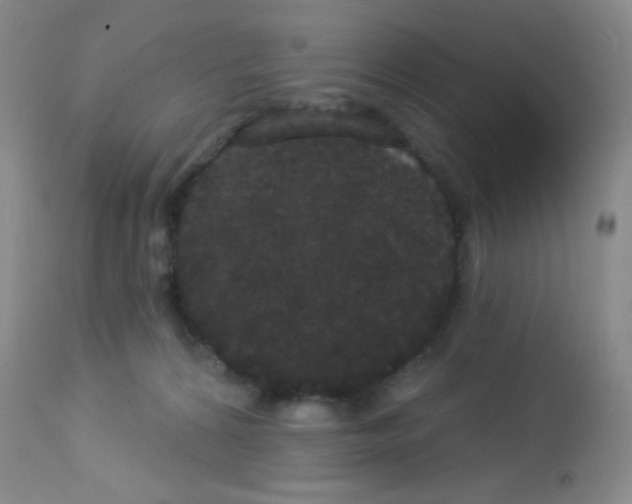 X0000113080224200910091240