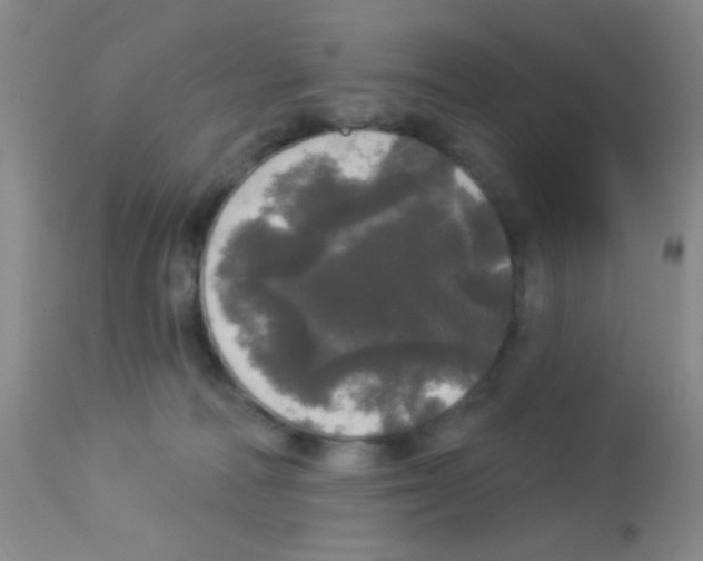 X0000113080226200910091240