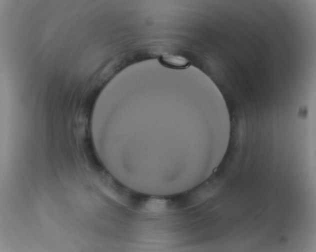 X0000113080227200910091240