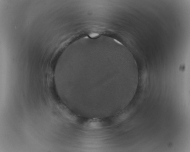 X0000113080228200910091240