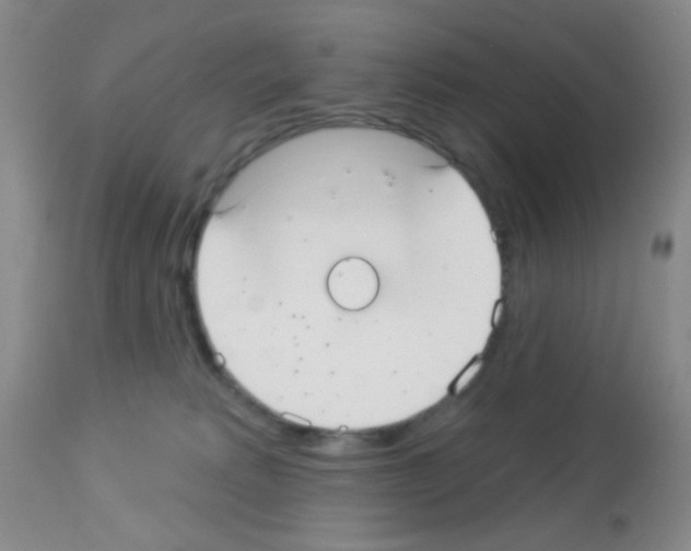 X0000113080229200910091240