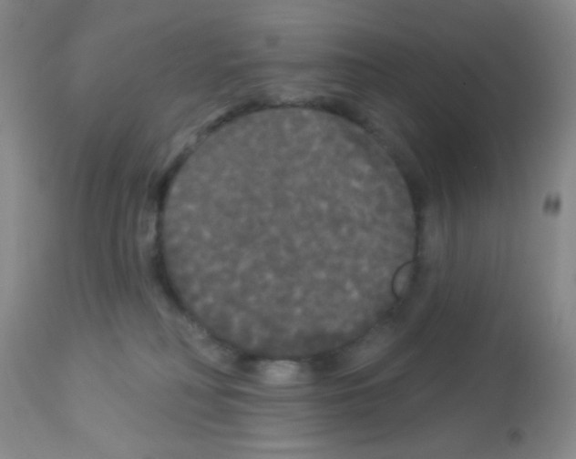 X0000113080230200910091240
