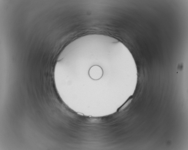 X0000113080233200910091240