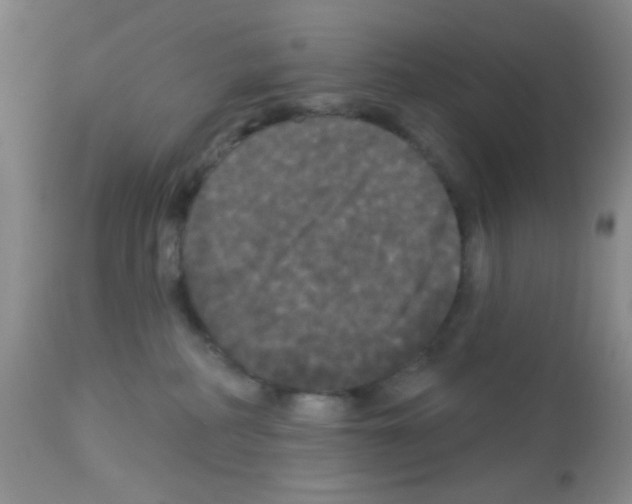 X0000113080234200910091240