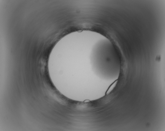 X0000113080235200910091240