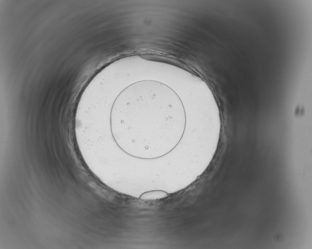 X0000113080241200910091239