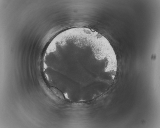 X0000113080242200910091239
