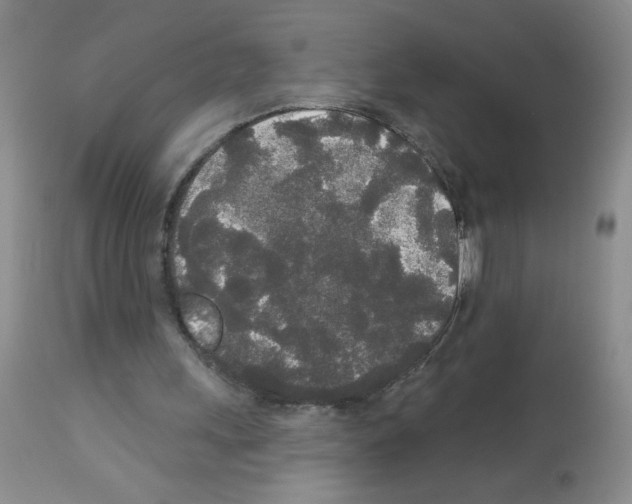 X0000113080243200910091239