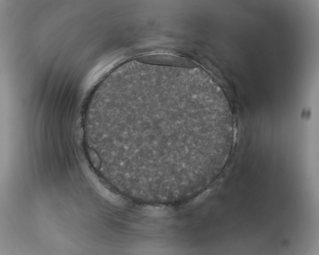 X0000113080245200910091239