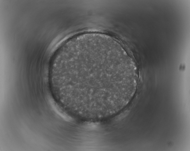 X0000113080247200910091239