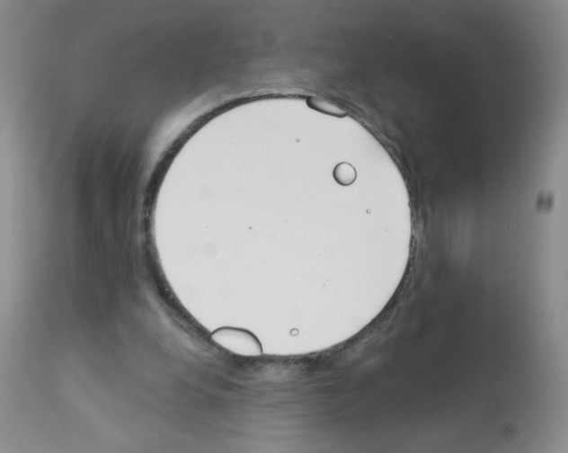 X0000113080248200910091239