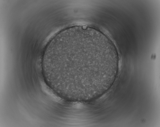 X0000113080249200910091239