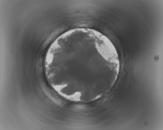 X0000113080250200910091239