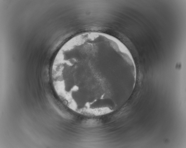 X0000113080251200910091239