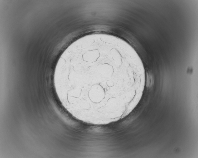 X0000113080253200910091239