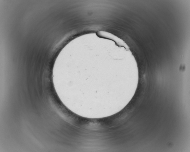 X0000113080256200910091239
