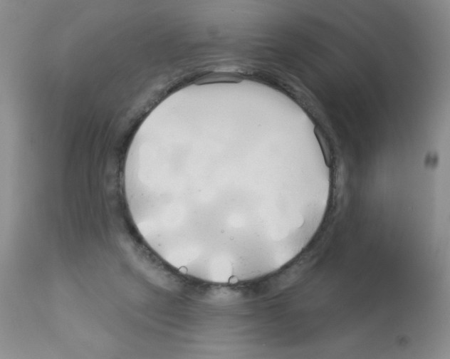 X0000113080257200910091239