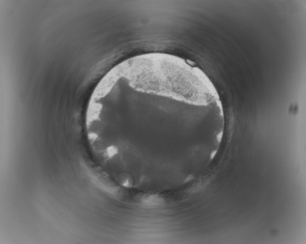 X0000113080258200910091239