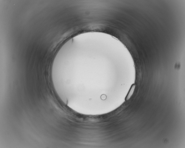 X0000113080260200910091239