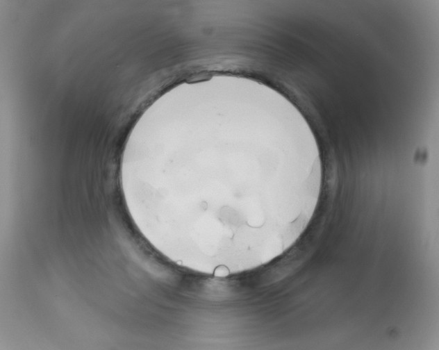 X0000113080261200910091239