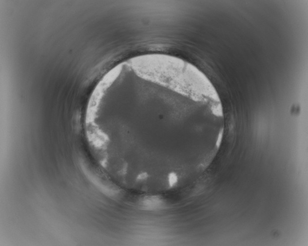 X0000113080262200910091239