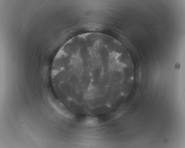 X0000113080263200910091239