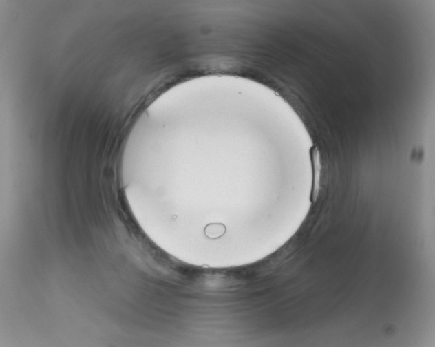 X0000113080264200910091239