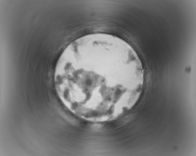 X0000113080265200910091239