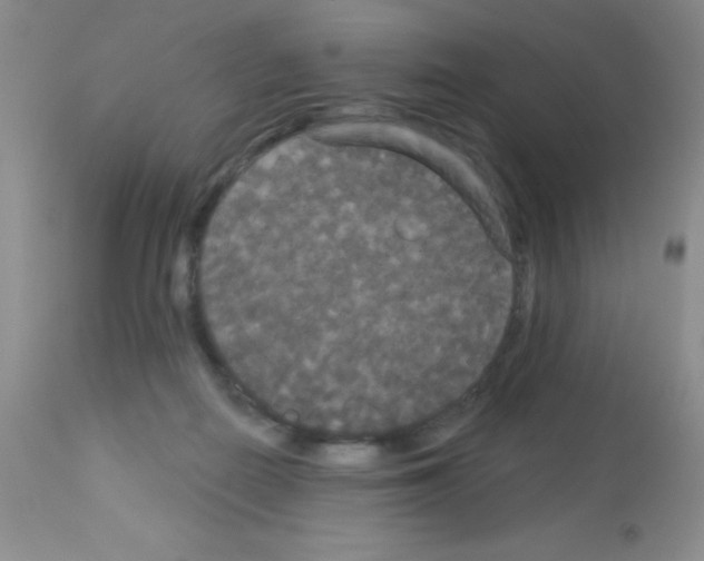 X0000113080266200910091239