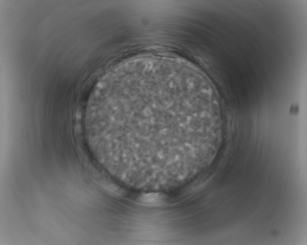 X0000113080269200910091239