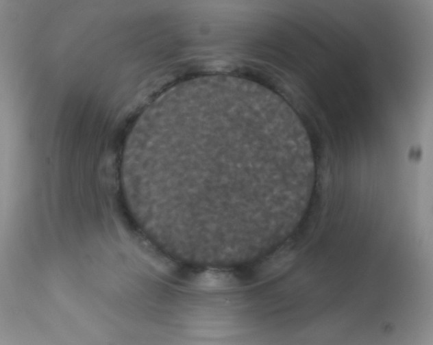X0000113080270200910091239