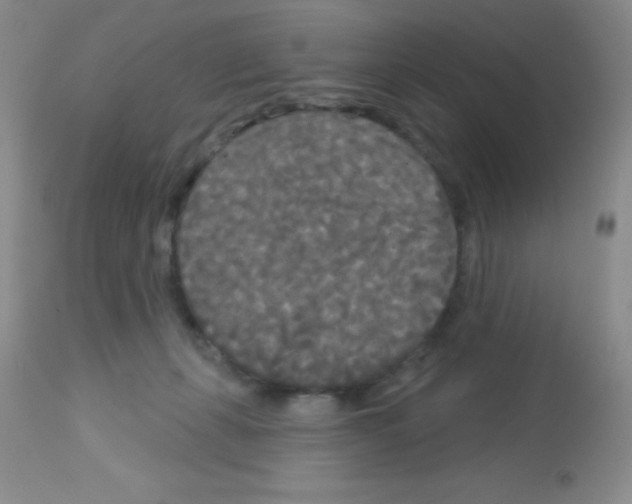 X0000113080271200910091239