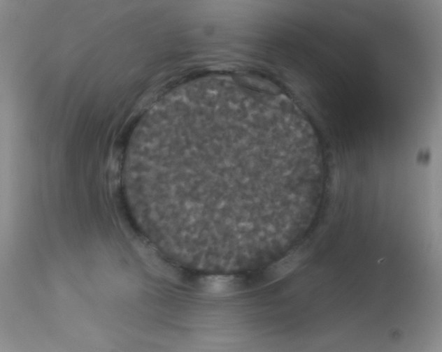X0000113080273200910091239