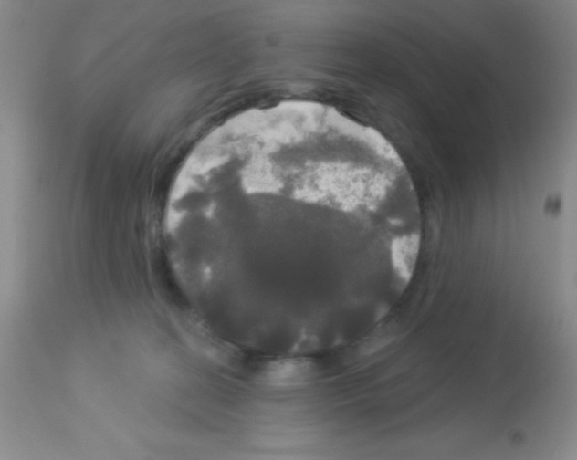 X0000113080274200910091239