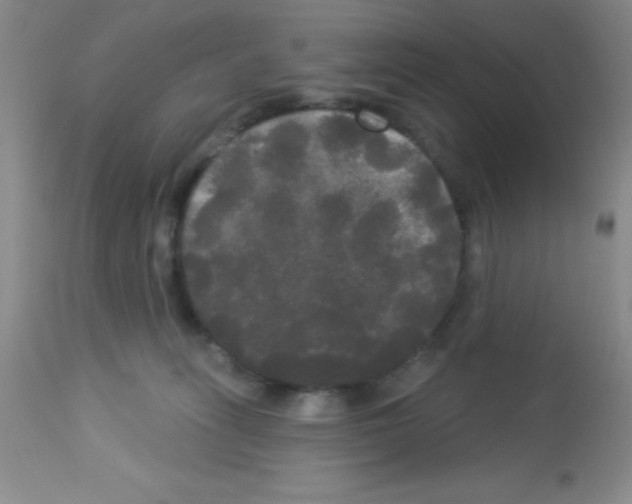 X0000113080275200910091239