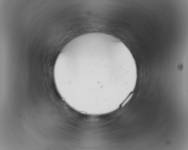X0000113080276200910091239