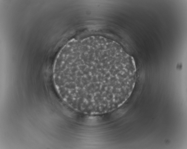X0000113080277200910091239