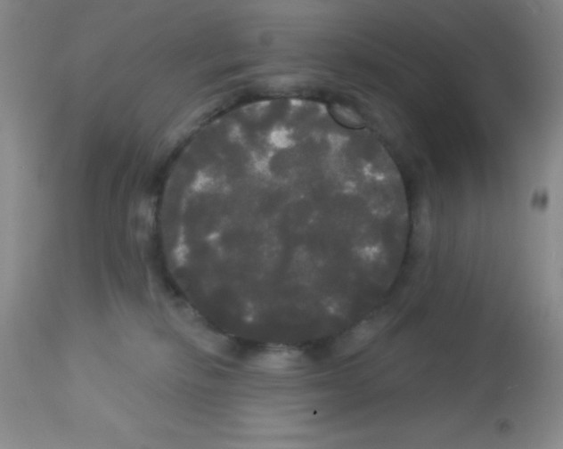 X0000113080278200910091239