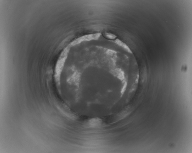 X0000113080279200910091239
