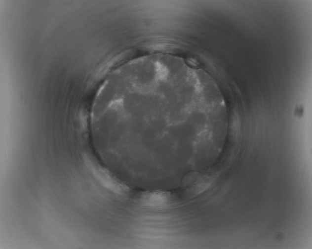 X0000113080282200910091239