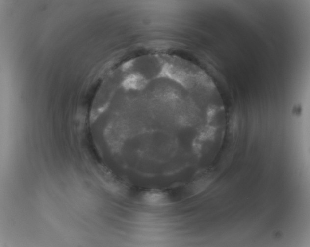 X0000113080283200910091239