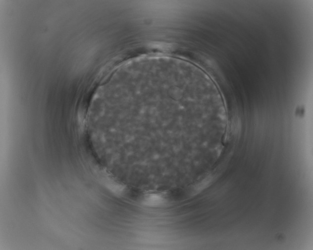 X0000113080285200910091240