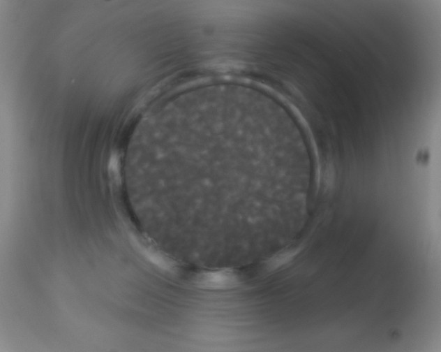 X0000113080286200910091240