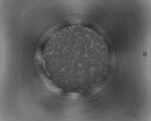 X0000113080287200910091240