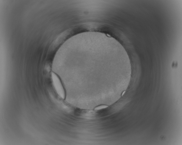 X0000113080288200910091240