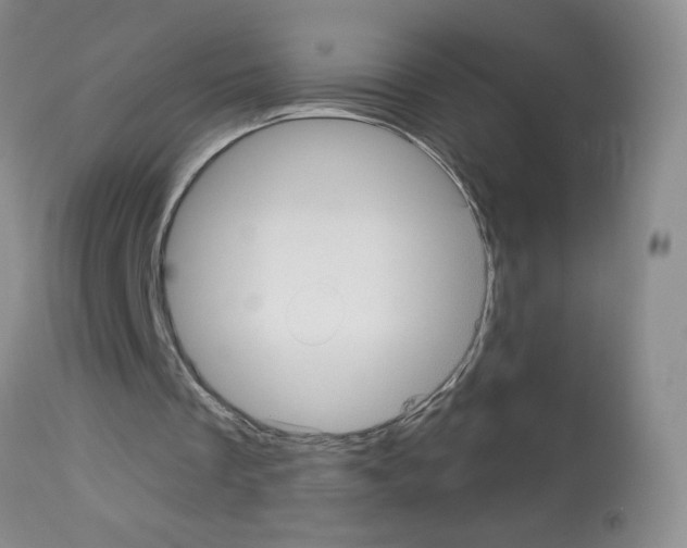 X0000113080289200910091239